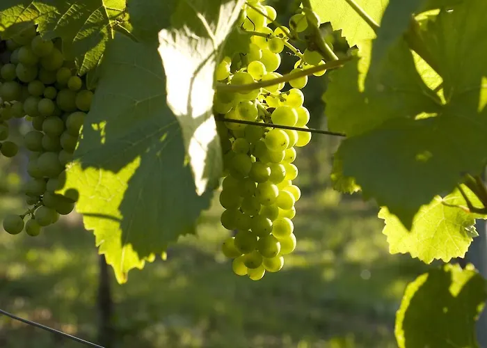 Landidyll Lamm فايهينغن