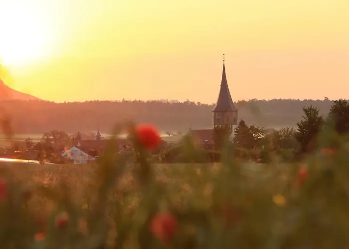 Landidyll Lamm فندق فايهينغن